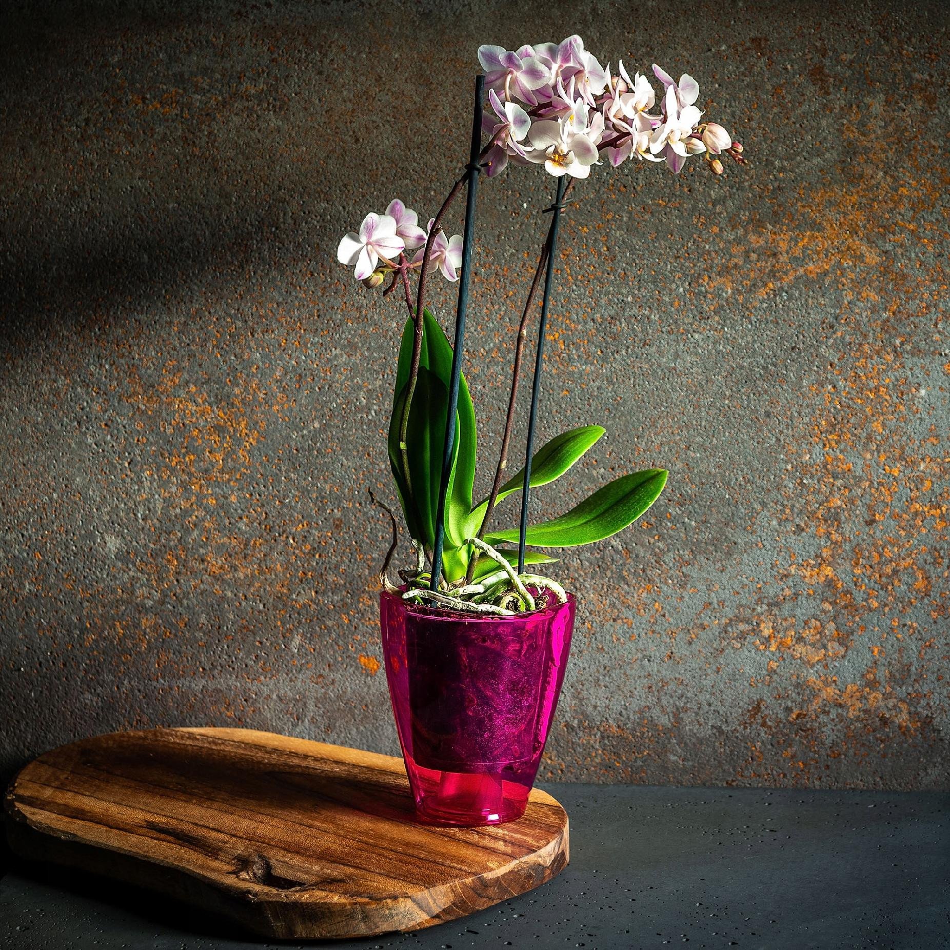 Doniczka Osłonka Na Storczyk Kwietnik Plastikowa Kwiaty 12cm Różowa Kadax