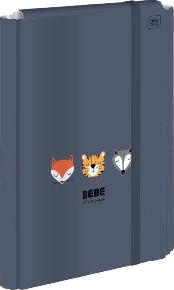 Teczka z gumką twarda oprawa A4+ INTERDRUK BB Friends BOYS