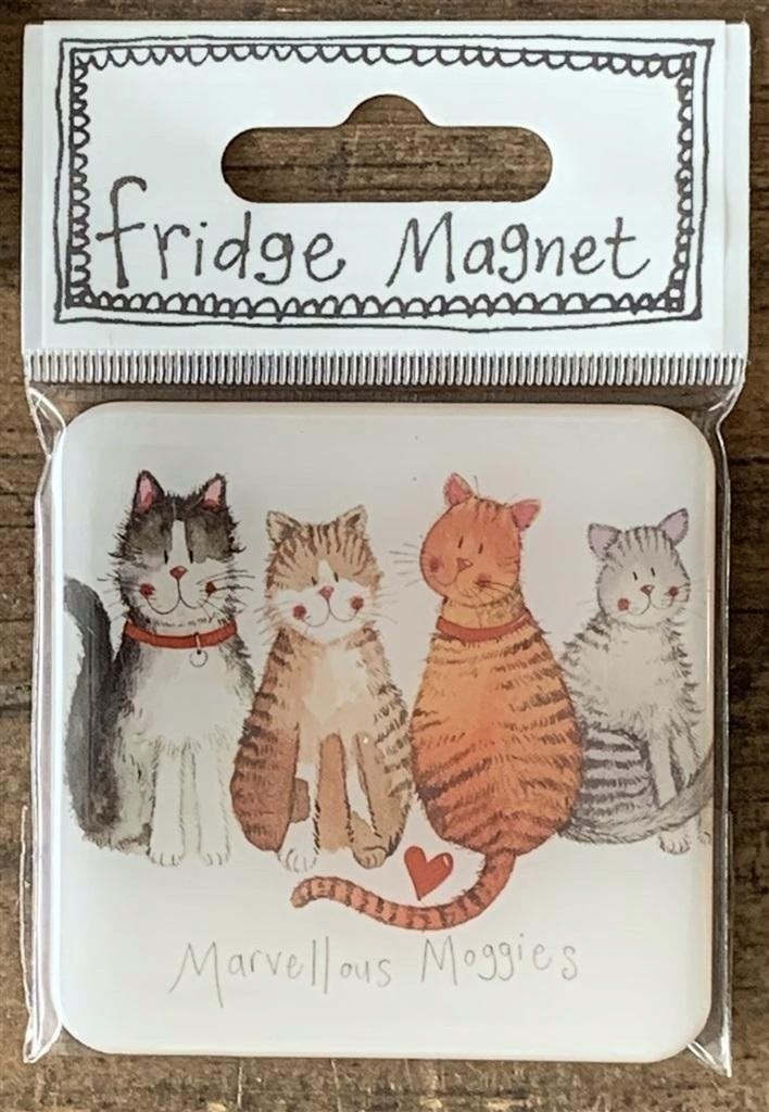 Teka Magnes FM27 4 koty