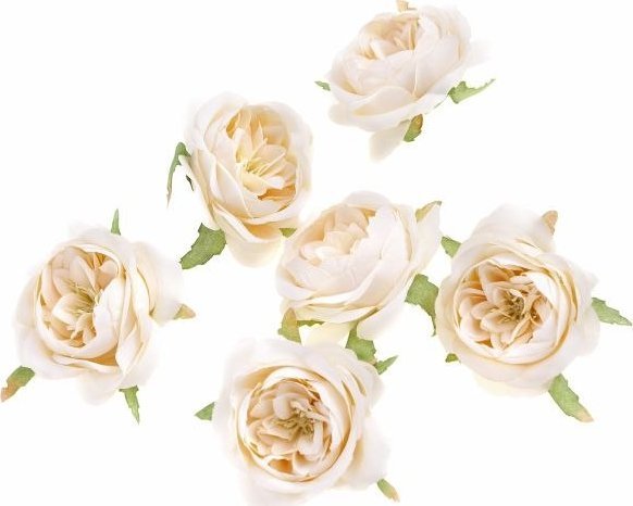 GŁÓWKI KWIATOWE - KAMELIA, 5 CM, 6 SZT., KREMOWY