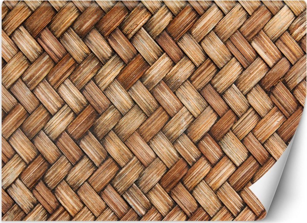 Feeby Fototapeta, Wiklina - 350x245