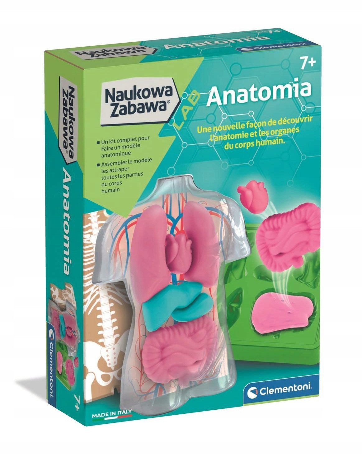 CLM ANATOMIA ZEST KREAT 50252 PUD6