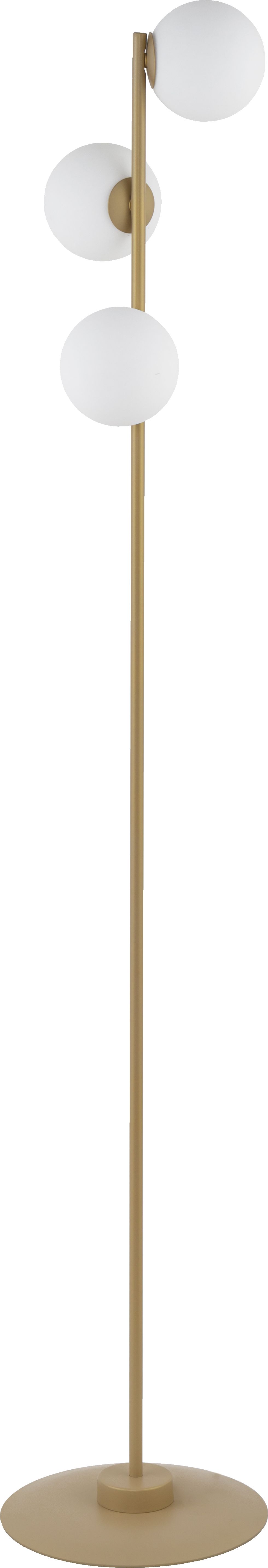 Lampa podłogowa Sigma Nowoczesna lampa stojąca LED Ready Sigma Gama 50275 złota
