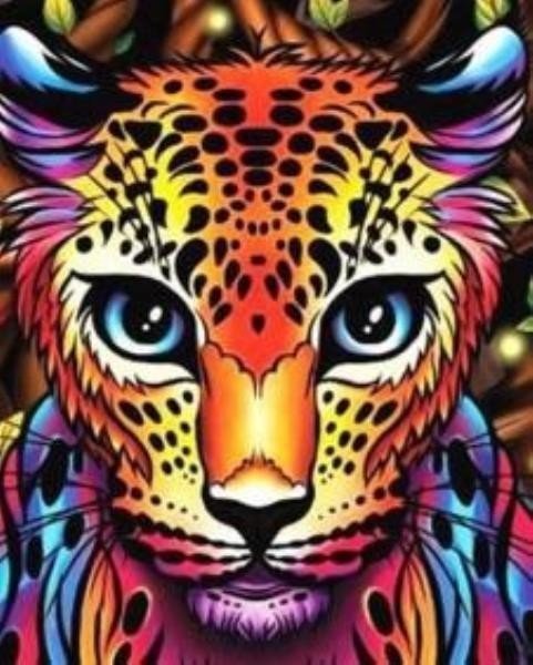 Malowanie po numerach Tygrysy 40 x 50 5617