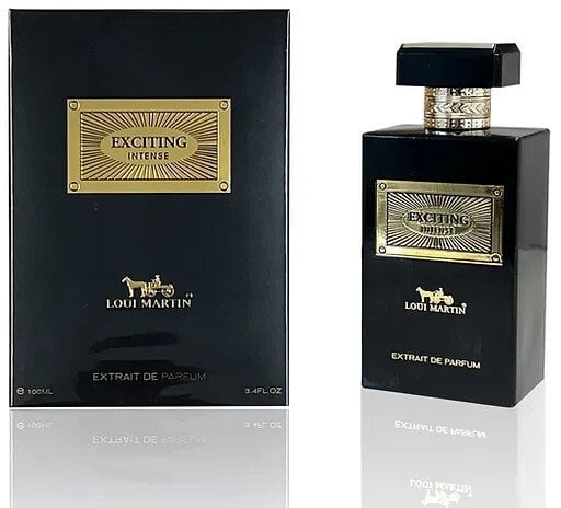 Loui Martin, Exciting Intense, Extrait De Parfum, Unisex, 100 ml Unisex