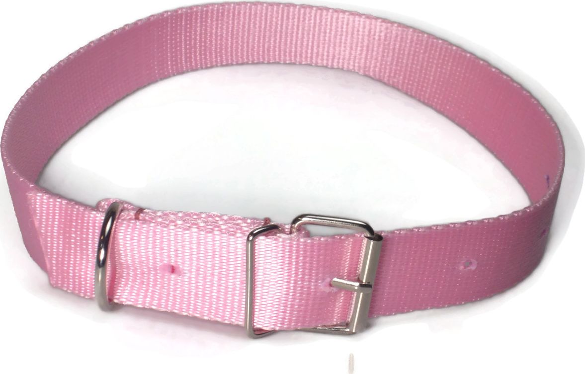 Alizoo Obroża dla dużego psa 30mm/48-67cm z metalową klamerką - ALIZOO