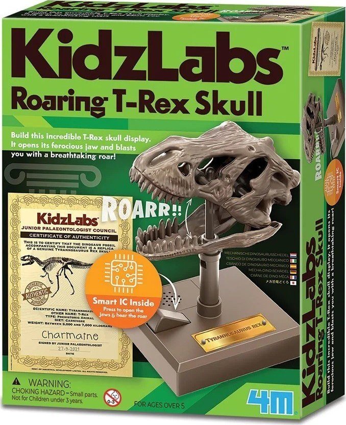 4M Zestaw edukacyjny Ryczšca czaszka T-Rex