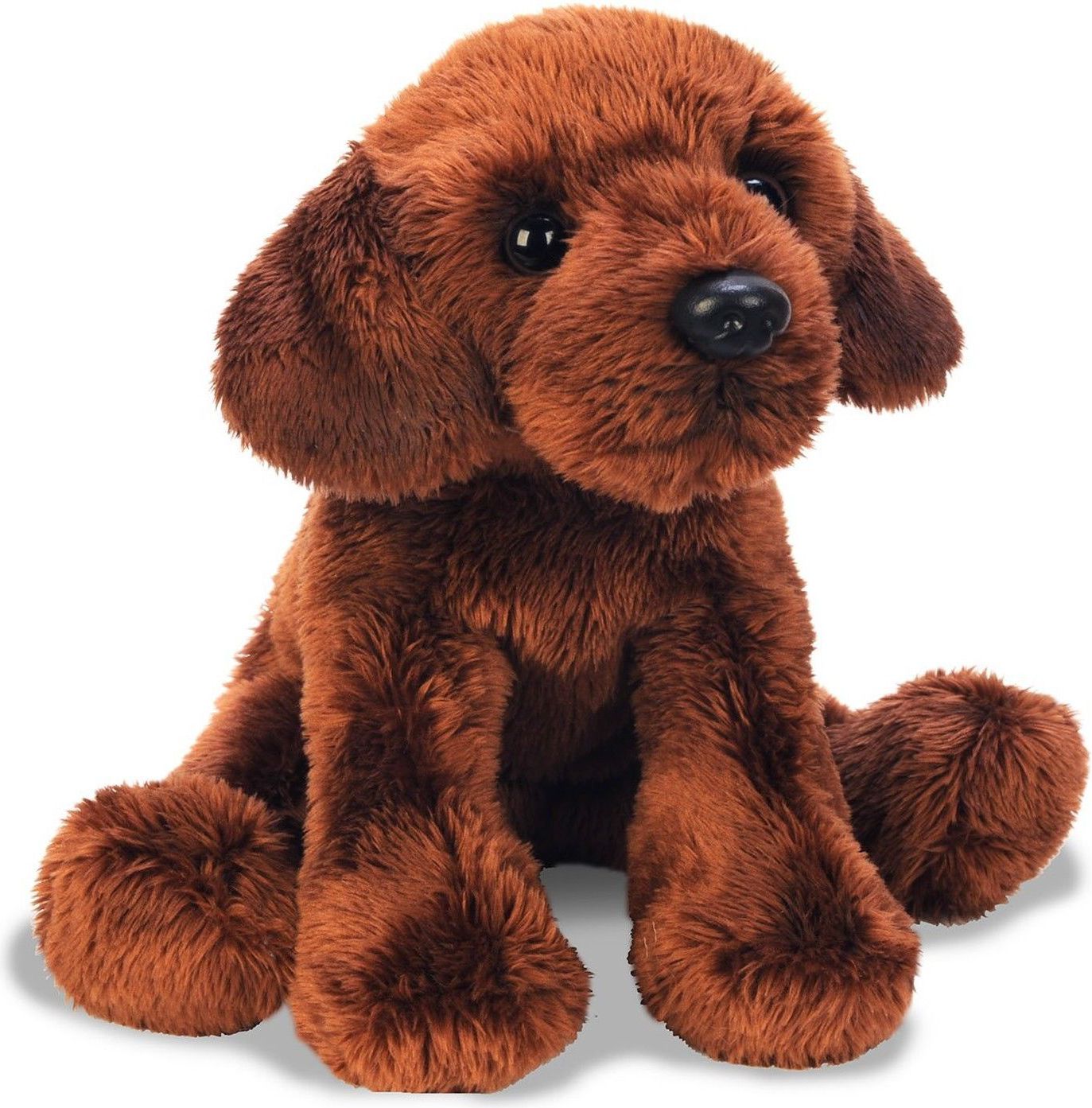 Suki Siedzący Labrador