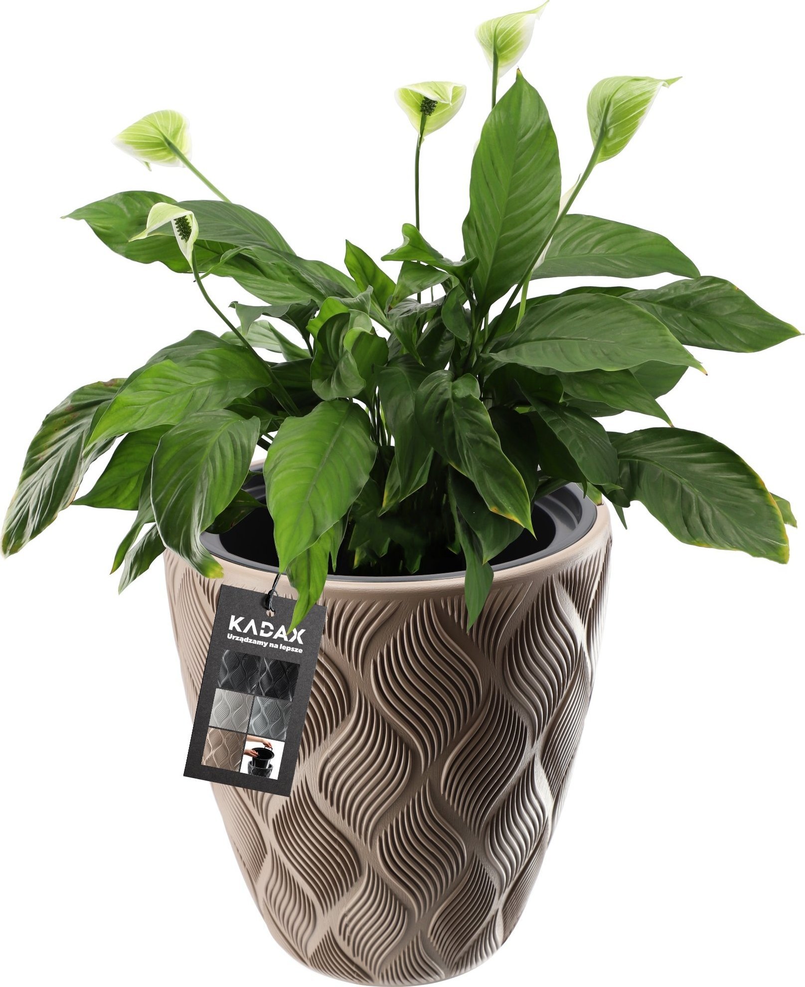 Kadax Doniczka Donica Z Wkładem Ogrodowa Beżowa 42cm