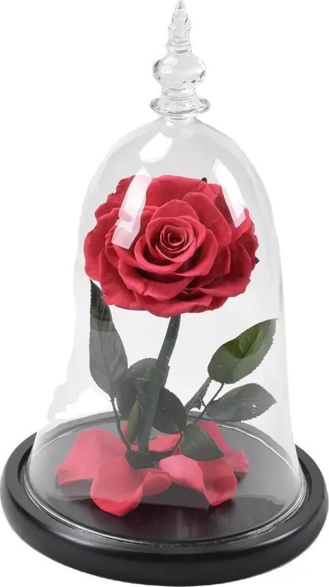 ToPrezent.pl Prawdziwa Czerwona Róża w Szklanej Kopule