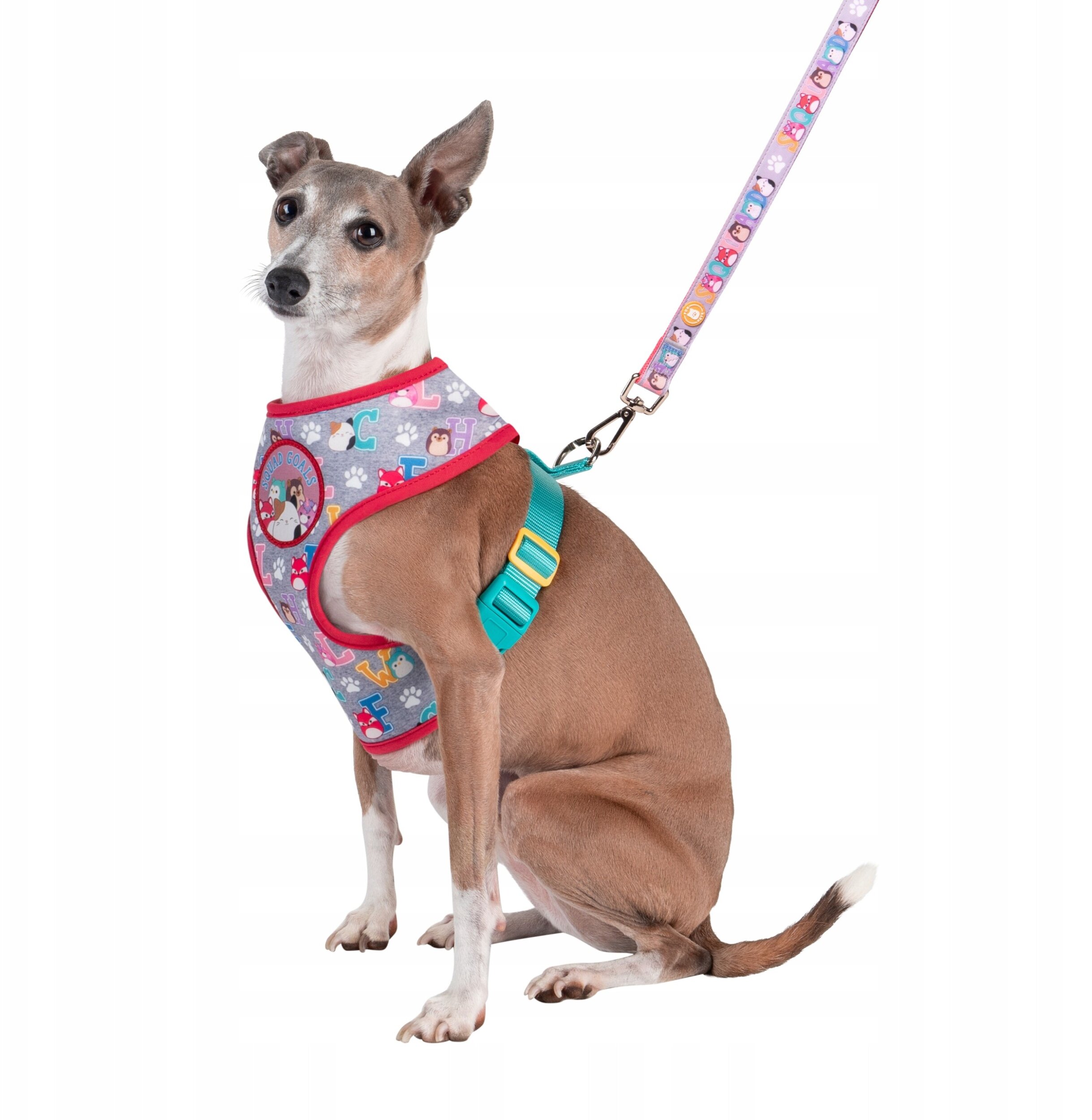 JAS PETS SZELKI DLA PSA M