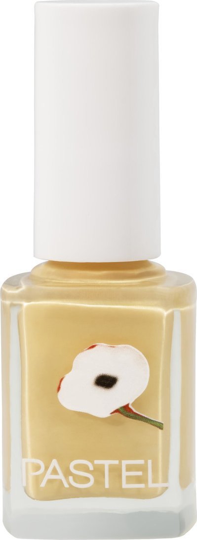 Pastel Lakier do paznokci 13ml (411)