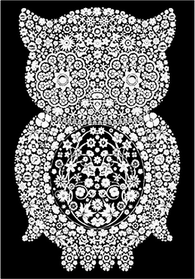 Kolorowanka Welwetowa 29,7x21 Sowa