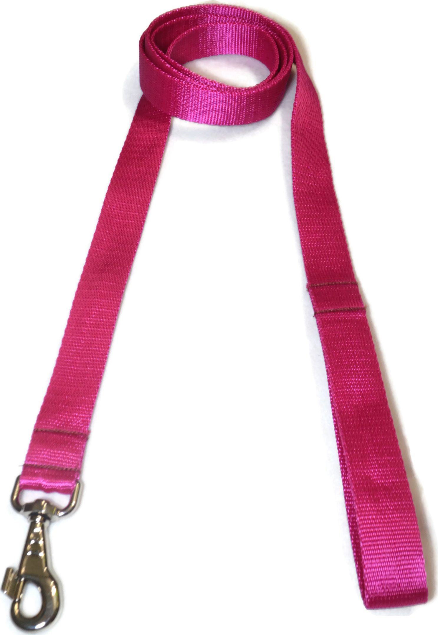 Alizoo Smycz dla dużych psów 30mm/180cm - ALIZOO