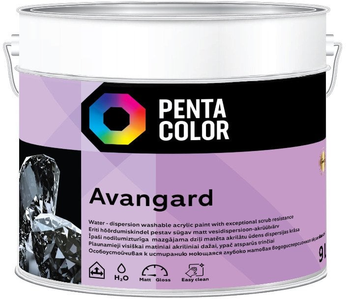 Pentacolor DISPERSIVE PAINT AVANGARD (WHITE