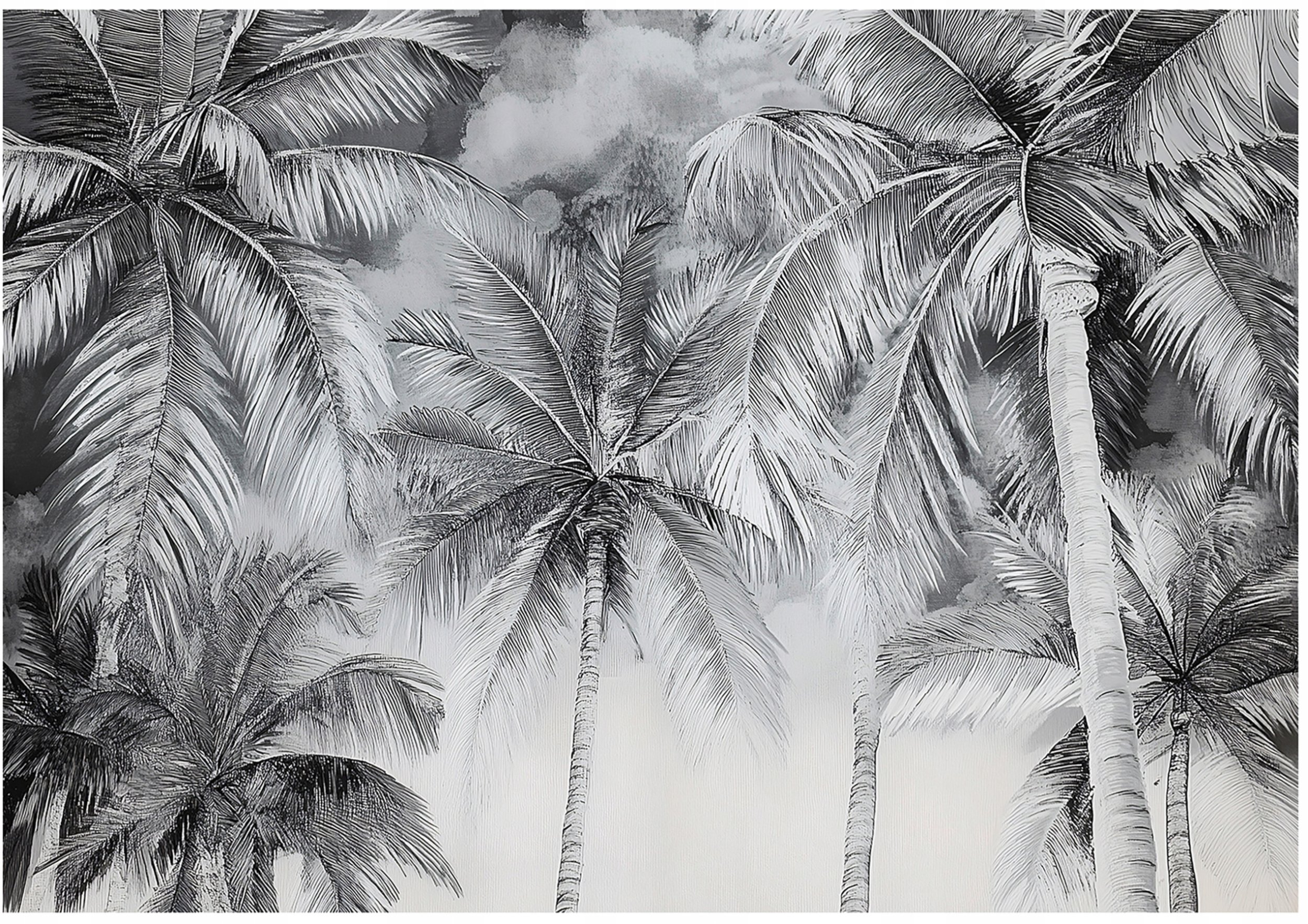 Fototapeta Palmy Czarno Biały Sypialnia Salon Tapeta Flizelina 400X280