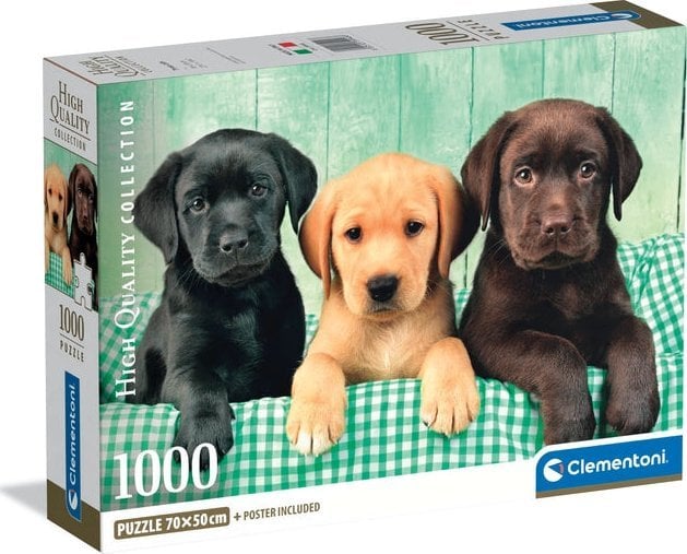Clementoni Puzzle Compact Three Labs 1000 elementów (39946)