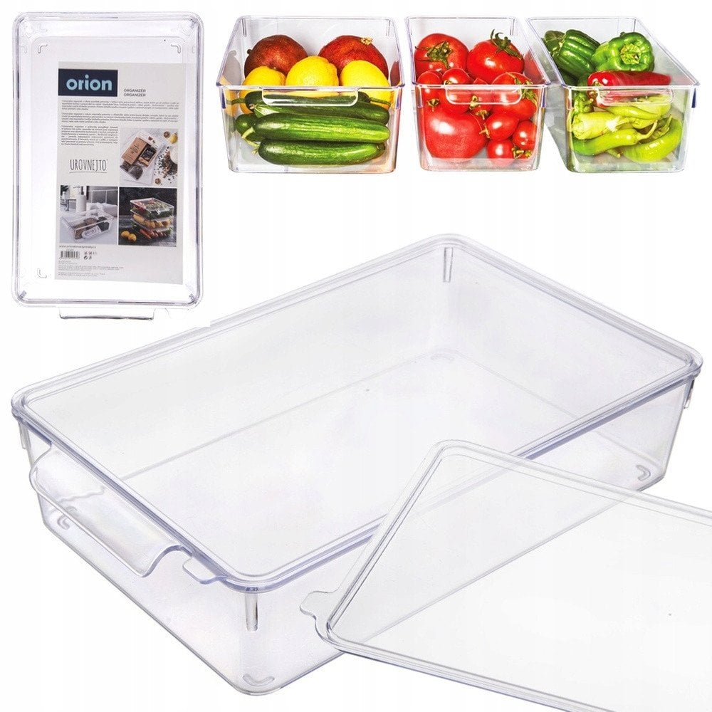 ORGANIZER DO LODÓWKI POJEMNIK Z POKRYWKĄ NA PRZYPRAWY PRODUKTY SPOŻYWCZE 32.5X20X7.5CM ORION 731633