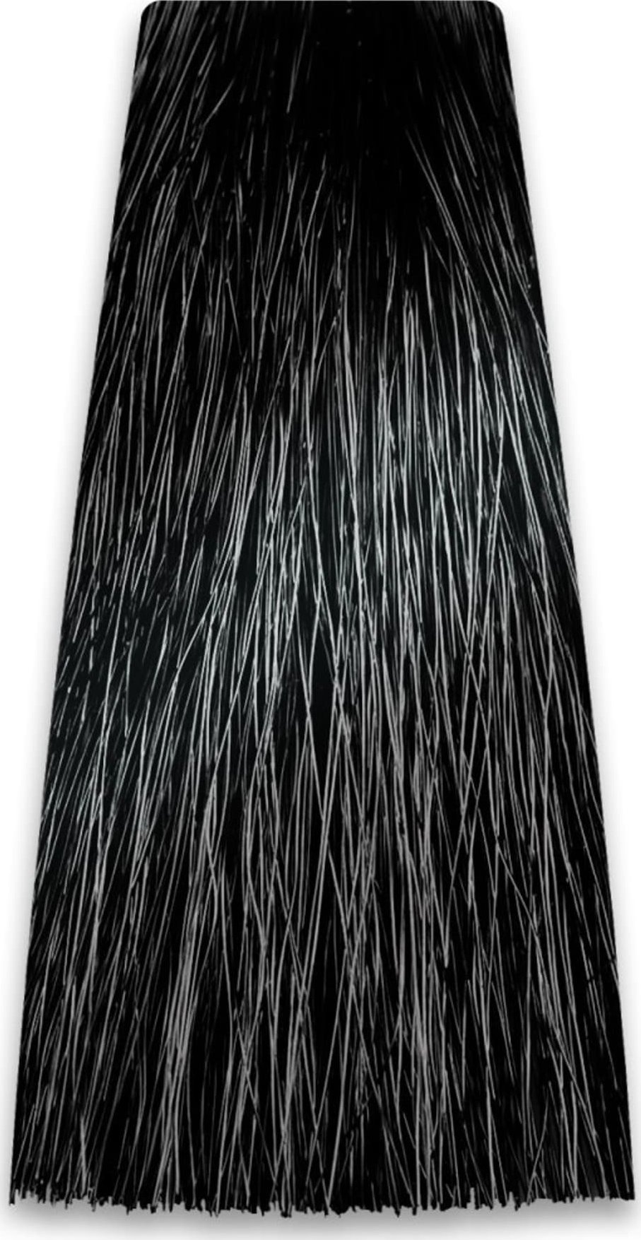 Chantal PROSALON PROFESSIONAL Intensis Color Art Profesjonalna Farba do włosów nr 1.0 czarna 100g