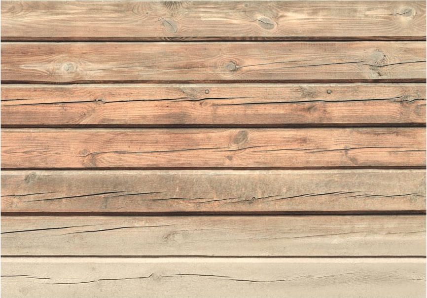 DecoNest Fototapeta - Stara sosna - 400X280