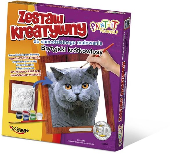 Zestaw kreatywny Kot Brytyjski Krótkowłosy