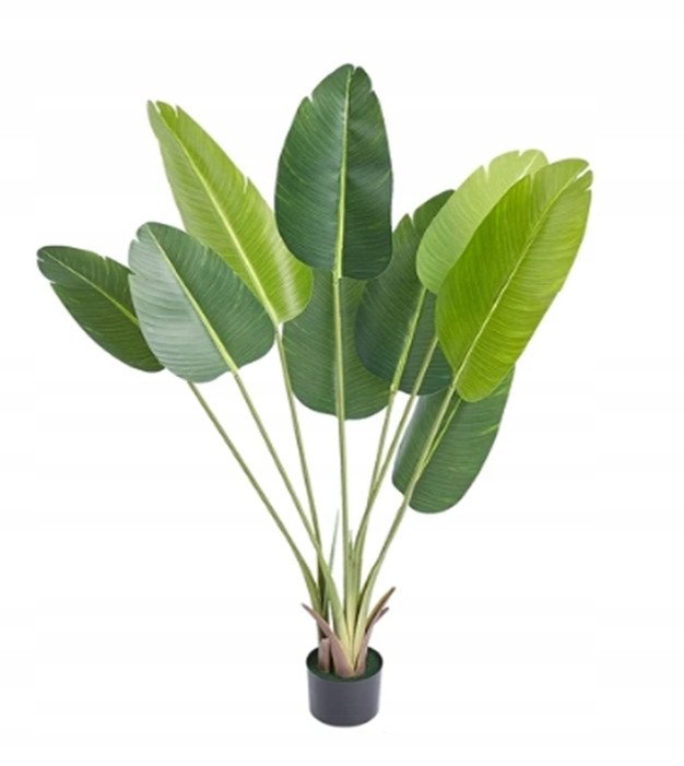 SZTUCZNA Roślina PALMA BANANOWIEC Egzotyczny W DONICZCE REALISTYCZNY 150cm