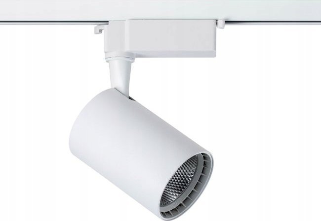 Naświetlacz DPM SPOTLIGHT STR-10W-W 820LM 4000K WHITE