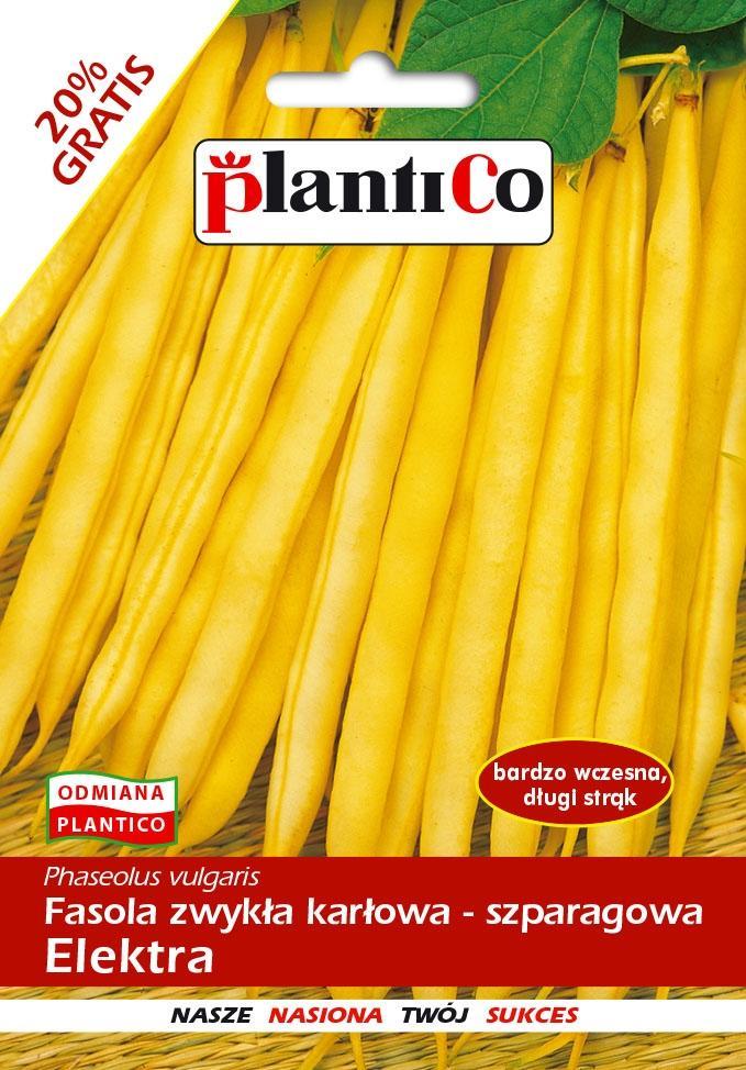 Plantico Fasola Karłowa Elektra 48g PlantiCo
