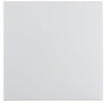 Hager Klawisz do przycisków pojedynczych biały połysk (5316208999)