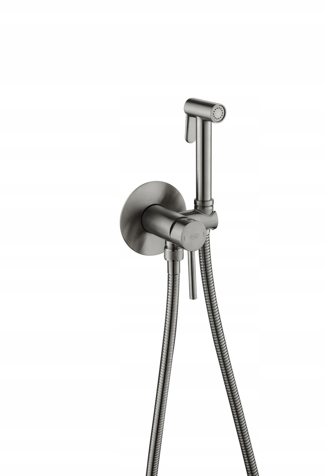 Blue Water concealed bidet mixer Boston graphite color BOS-BBP.040