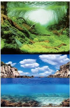 Aqua Nova TŁO L 100X50 PLANTS/OCEAN