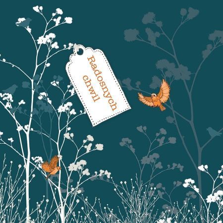 Clear Creation Karnet Swarovski kwadrat CL3402 Radosnych chwil