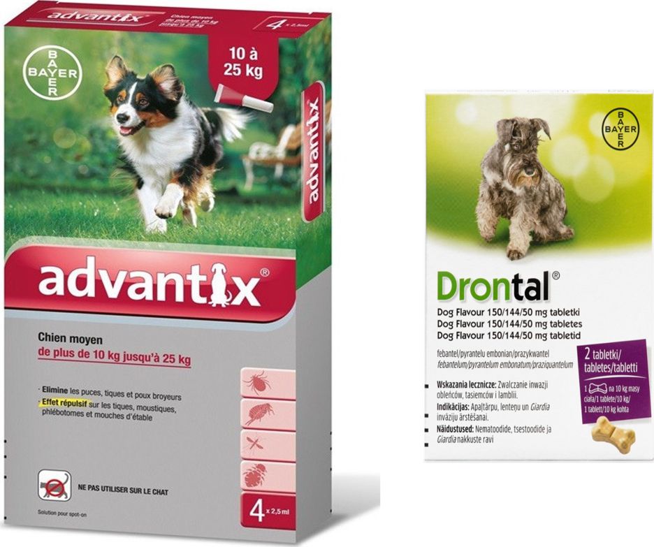 Bayer Advantix - dla psów 10-25kg (4 pipety x 2,5ml) + Drontal - Dog flavour 2tabl. (kostki)