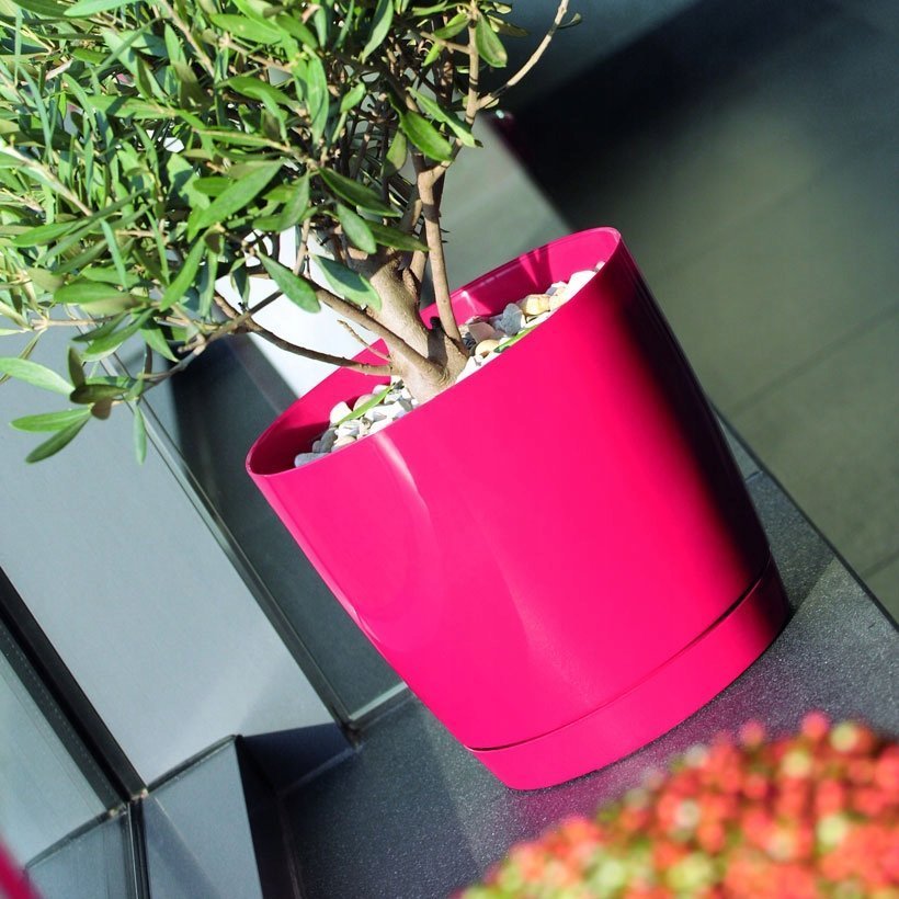 Prosperplast Doniczka z Podstawką Coubi DUOP240 Biała