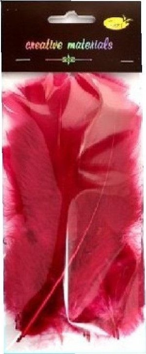 Piórka miękkie bordowe 15szt