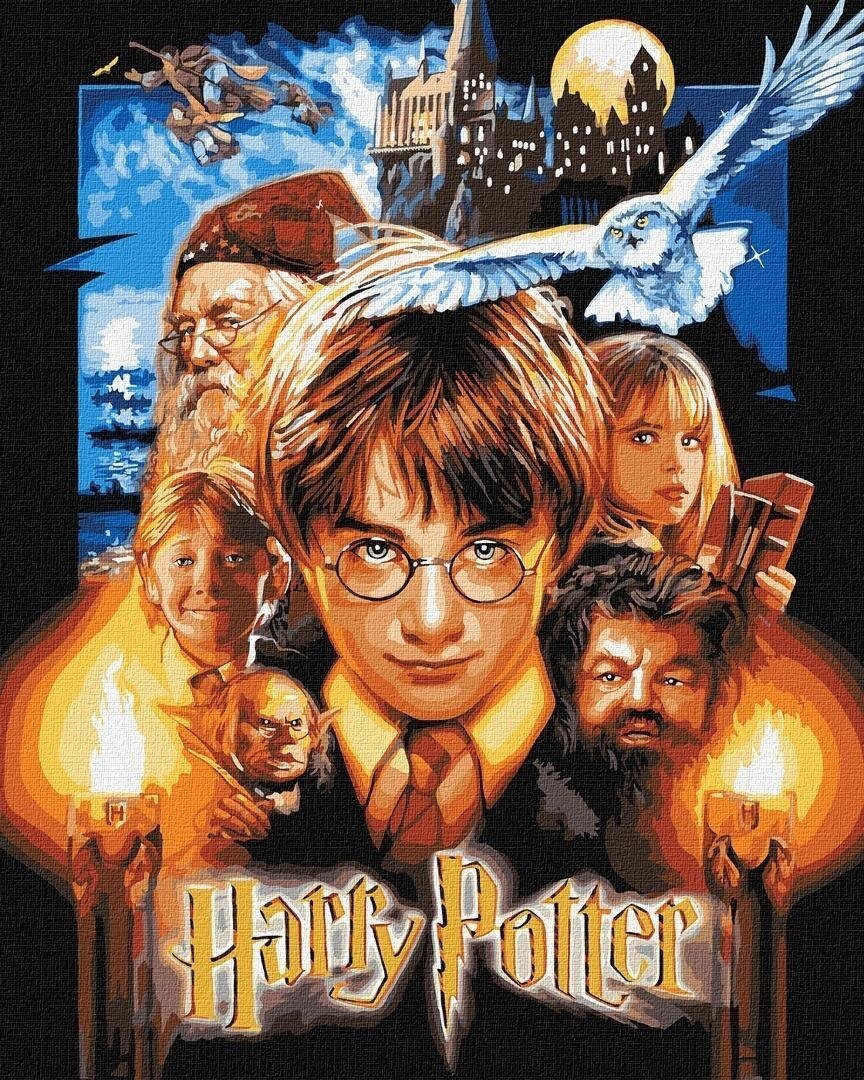 Malowanie po numerach -Harry Potter metal 40x50cm