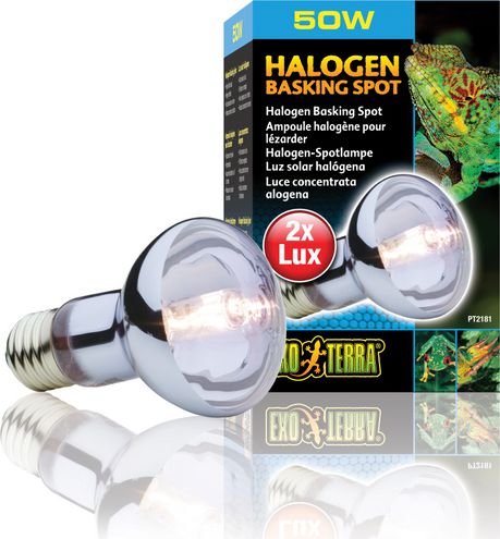Hagen EXOTERRA ŻARÓWKA HALOGEN SPOT 50W