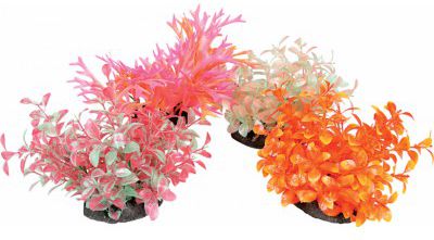 Zolux Napowietrzacz Aeroplant - 17 cm różne kolory