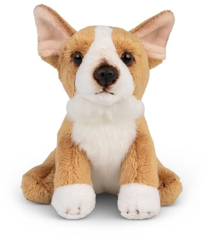 Animigos World of Nature mini corgi