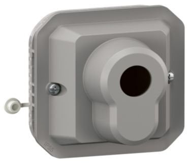 NOWE PLEXO 55 Łącznik na klucz 3 pozycje mechanizm 10 AX - 250V AC szary 069535L