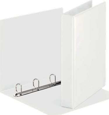 Segregator Esselte Panorama 4-ringowy A4 38mm biały (10K171G)