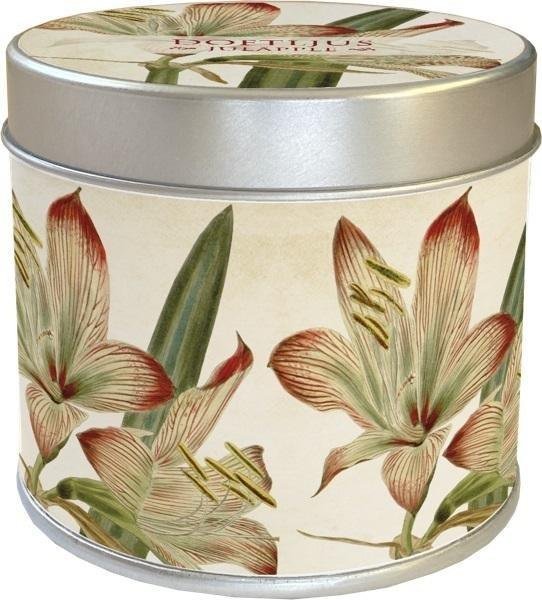 Skona Ting Zapachowa świeczka 202 - amarylis - zapach jabłko