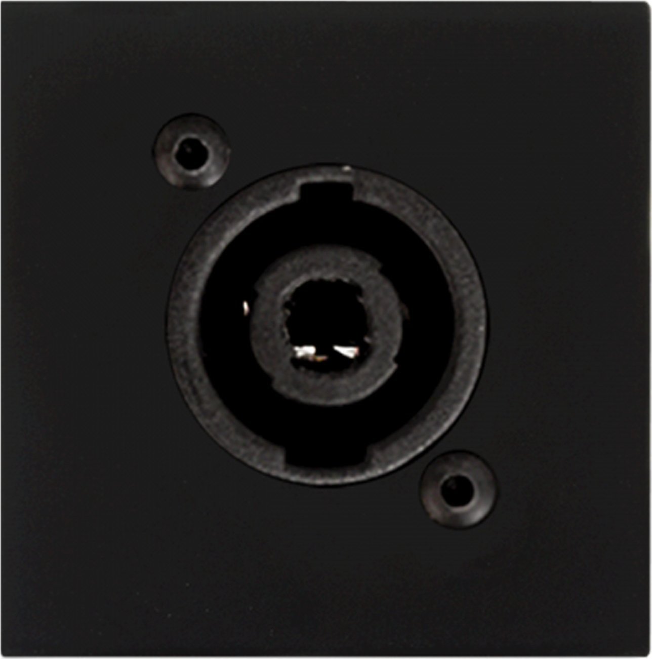 Audac AUDAC CP45SPES/B Płytka przyłączeniowa ze złączem głośnikowym w rozmiarze D, bez lutowania, czarna