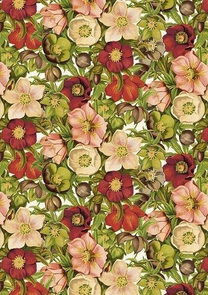 Skona Ting Karnet ST439 B6 + koperta Ciemiernik