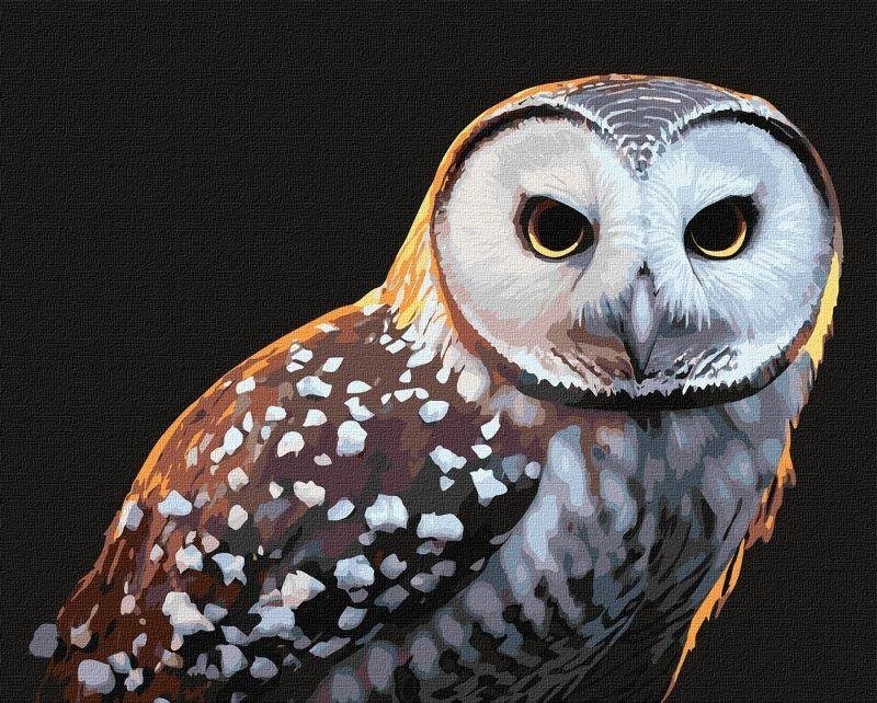 Ideyka Malowanie po numerach - Dumny pogląd 40x50cm