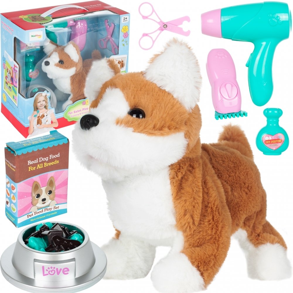 Groomer - Zestaw Psi Fryzjer Suszarka Maszynka