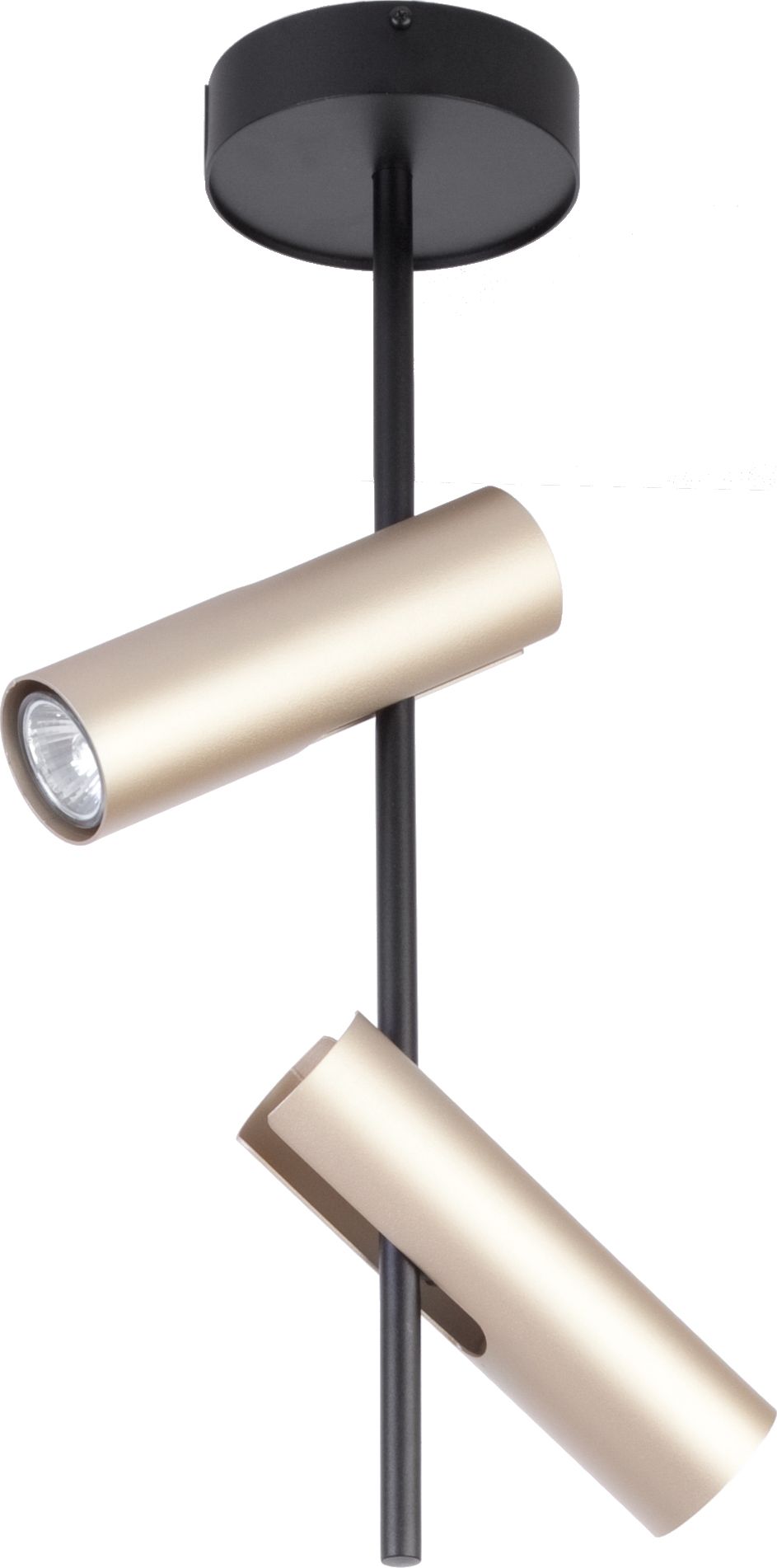 Lampa wisząca Sigma Spot natynkowy złoty Sigma Leda 33109