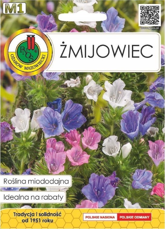 Żmijowiec nasiona 1g Miododajna i dekoracyjna roślina