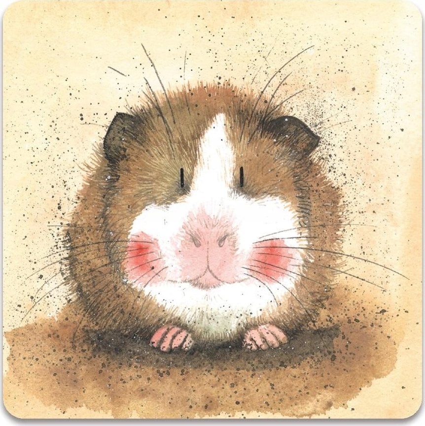 Teka Magnes FM74 ¦winka morska Gilbert