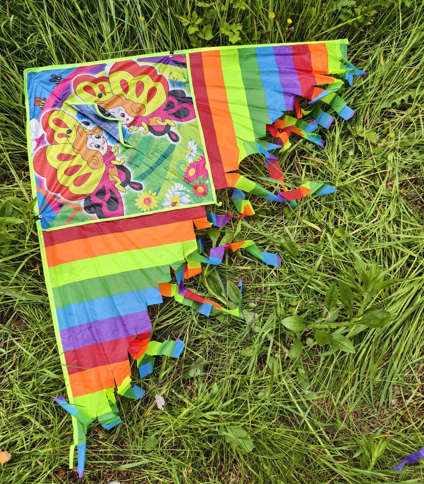 Latawiec 01475 14752